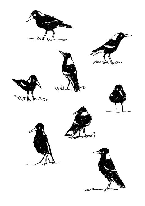 magpie studies RB paint background small Magpie Drawing, Minimalist Magpie Tattoo, Australian Magpie Tattoo, Fine Line Magpie Tattoo, Tiny Magpie Tattoo, Small Bird Reference, Magpie Painting, Magpie Sketch, Magpie Cartoon