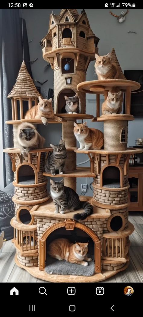 Custom Cat Trees, Cat Room Decor, Cat Bedroom, Cat Castle, Cat Patio, Cat Tree House, Diy Cat Tree, Outdoor Cat Enclosure, Cat House Diy