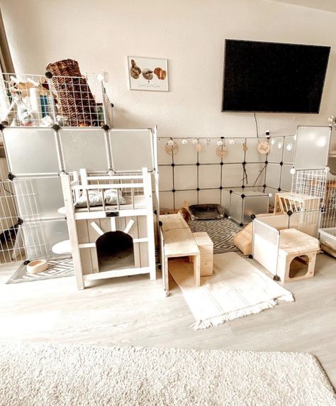 Bunny Free Roam, Free Roam Rabbit Set Up, Bunny Room Indoor Rabbit, Bunny Room Ideas, Free Roam Bunny, Rabbit Setup, Indoor Bunny House, Bunny Setup, Bunny Pen