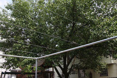 Backyard Grape Vine Trellis - Pipe & Wire by Simplified Building Concepts, via Flickr Grapevine Pergola, Vine Structure, Planters Backyard, Diy Arbor, Basement Patio, Grape Vine Trellis, Covered Backyard, Grape Trellis, Grape Arbor