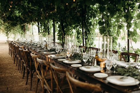 Wedding Winery Vineyard, Vineyard Wedding Theme, Winery Wedding Decorations, Vineyard Decor, Wedding Aesthetic Ideas, Vineyard Wedding Decor, Vineyard Wedding Venues, Bridal Shower Wine Theme, Wine Country Wedding Venues