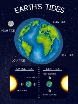 6th Grade Science, High Tide, Natural Phenomena, 7th Grade, Earth Science, 6th Grade, Holiday Card, Holiday Cards, Science