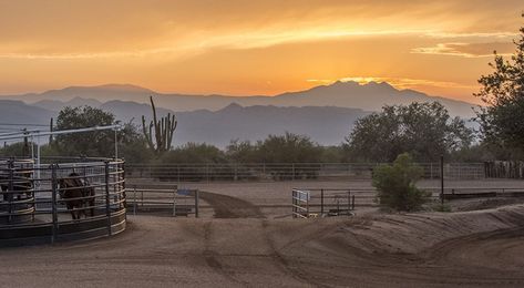 Almosta Ranch in Scottsdale, #Arizona - More Info: https://www.landhub.com/property/115078-Scottsdale-Arizona-85054-115340/ #ranchproperty Arizona Ranch, Hay Barn, Round Pen, Equestrian Facilities, Vacant Land, Farm Sink, Ranch Style Home, Scottsdale Arizona, Ranch Style