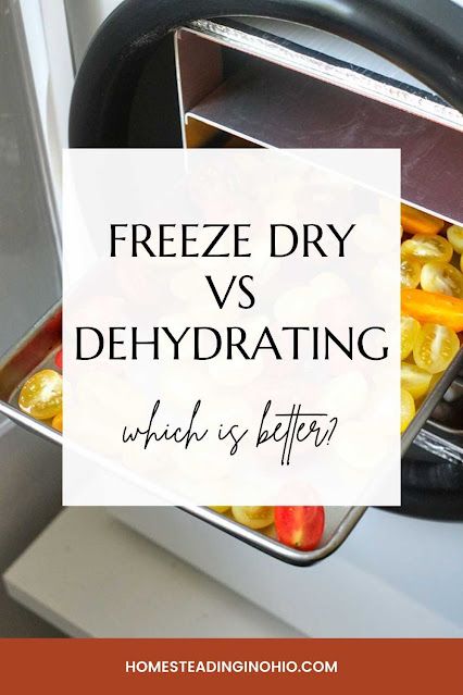 Freeze dry vs dehydrated. Which is better? Learn how freeze drying works with a Harvest Right freeze dryer and how dehydrating works. Which is healtheir freeze dried or dehydrated? Learn about freeze dried vs dehydrated nutrition. This has the pros and cons of each machine so you can decided to freeze dry or dehydrate to preserve food for later. Freezing Food Storage, Dehydrating Food Storage, Kentucky Food, Freeze Dried Vegetables, Harvest Right Freeze Dryer, Best Freeze Dried Food, Food Dryer, Food Dehydration, Freeze Dryer