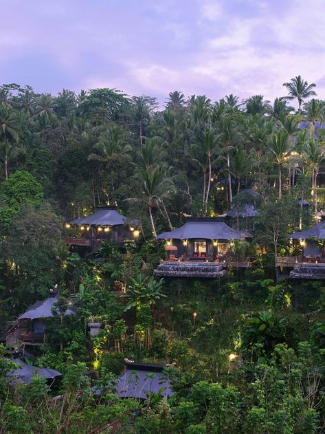 Capella Ubud is honored by readers as the #1 Resort Hotel in Indonesia in Travel + Leisure's 2022 World's Best Awards. "Truly transcendental," wrote one survey respondent. "Off-the-charts amazing," said another. #Bali #Indonesia #LHWtraveler Capella Ubud, Ubud Indonesia, Jungle Resort, Voyage Bali, Bali Honeymoon, Bali Resort, Honeymoon Resorts, Bali Hotels, Luxury Tents