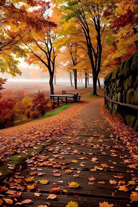 Fall Wallpapers, Fall Landscape Photography, Image Nature, Autumn Scenes, Fantasy Places, Autumn Scenery, Autumn Beauty, Fall Pictures, Beautiful Nature Wallpaper