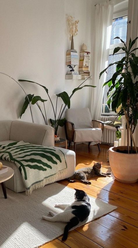 Maisonbymia Special Interior Design, Nordic Apartment Decor, Small Plant Room, Scandinavian Apartment Decor Ideas, Plant Set Up Indoor, Men's Apartment Decor, Living Room Plants Decor, Interior Design Plants, Minimalist Flat