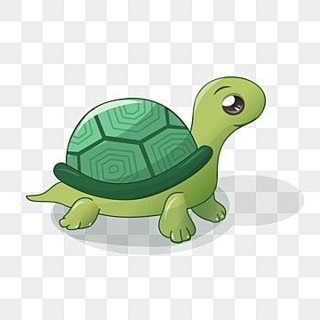 vector,hand draw,free,transparent,tortoise,turtle,cartoon,cute,25d,decorative pattern,various,animal,prime,collection Tortoise Cartoon, Cartoon Tortoise, Tortoise Pictures, Turtle Cartoon, 2000 Cartoons, Draw Hands, Small Turtles, Tortoise Turtle, Decorative Pattern