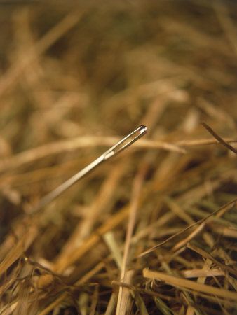 Needle in a haystack Needle In A Haystack, Acoustic Guitar Photography, Guitar Photography, Vanishing Point, Macro Photography, Beautiful World, Picture Photo, Find Art, Custom Framing