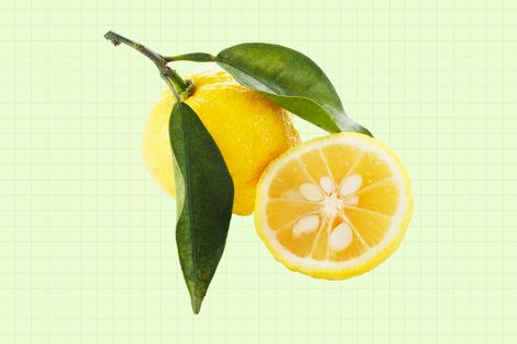 What Is Yuzu and How Do I Use It? Yuzu Aesthetic, Yuzu Fruit, Citrus Kitchen, Healthy Asian Recipes, Alphabet Code, Korean Cooking, Shredded Zucchini, Healthier Recipes, Healthy Delicious