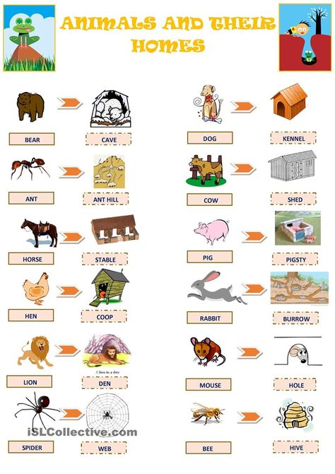 Animal Vocabulary Animals And Their Homes Worksheets, Homes Of Animals, Animals Worksheet, Animals And Their Homes, Animal Homes, Farm Animals Preschool, Animals Name In English, Animal Lessons, Community Helpers Preschool