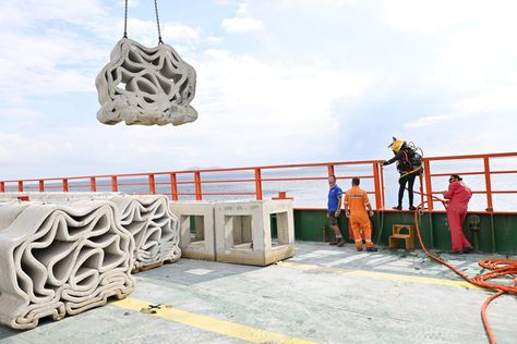 Turkiye completes its first 3D-printed artificial reef project - Parametric Architecture Coral Reef Concept Architecture, Gold Reef City, Coral Reef Recycled Material, Macrame Coral Reef, Great Reef Barrier, Artificial Reef, Parametric Architecture, Marine Animals, Marine Life