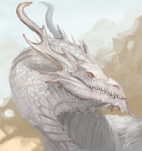 Albino Dragon by Lauuw-w.deviantart.com on @deviantART Magical Wolf, Dragon Artwork Fantasy, Dragon Rpg, Dnd Dragons, White Dragon, Dragon Games, Dragon Pictures, Fantasy Dragon, Dragon Artwork