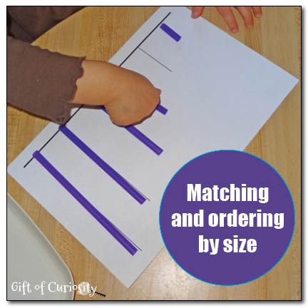 Matching and ordering by size activity for preschoolers with free printable - Gift of Curiosity Rain Stick Crafts, Cloud In A Jar, Measurement Activities, Math Activities For Kids, Montessori Toddler Activities, Math Measurement, Science Activities For Kids, Early Math, Homeschool Math