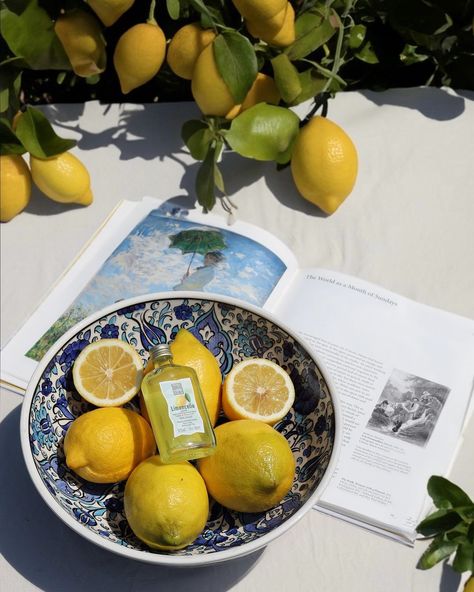 Tanya Shulga🐥 | Savor the simple pleasures: fresh lemons, vibrant art, and a hint of Limoncello🍋 . . . . . . . . . #limoncello #summervibes #freshlemons… | Instagram Limoncello Aesthetic, Lemons Aesthetic, Vibrant Art, Simple Pleasures, Food Photography, Vision Board, Instagram, Art