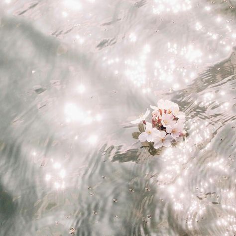 ♡ shadowkssed . A Flower, Floating, Bubbles, Water, White