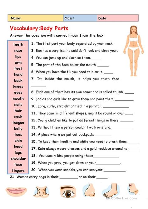 Body Reading, Human Body Vocabulary, Human Body Worksheets, Vocabulary Exercises, It Follows, Esl Vocabulary, English Activities For Kids, English Exercises, English Worksheets For Kids