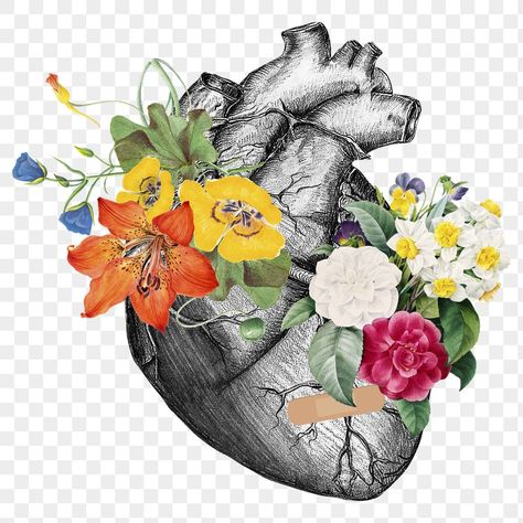 Heart With Transparent Background, Collage Png Aesthetic, Art Png Aesthetic, Collage Elements Png, Heart Png Aesthetic, Stickers Png Aesthetic, Collage Art Png, Transparent Background Aesthetic, Stickers Background