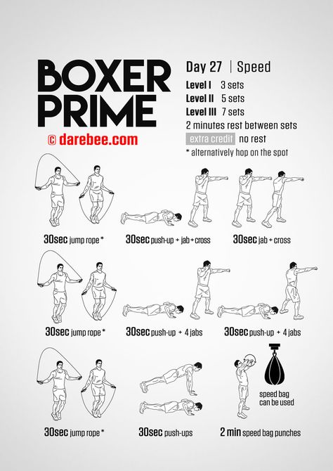 Boxer Prime: 30-Day Fitness Program Bodyweight Training Program, Fitness Hacks, Punching Bag Workout, Boxing Workout Routine, Boxer Workout, Home Boxing Workout, Boxing Training Workout, Fighter Workout, Boxing Drills