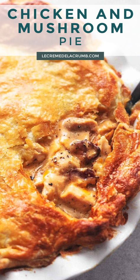 Chicken Cheese Pie, Chicken Pie Pot Recipe, Chicken Pies Recipes Easy, Savoury Pie Filling Recipes, Chicken And Mushroom Pot Pie Recipe, Creamy Chicken And Mushroom Pie, Chicken Broccoli And Mushrooms, Chicken Bacon Pot Pie, Chicken And Mushroom Pot Pie