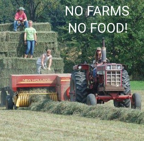 Baling Hay, Haybale Gardening, Farmers Life, Farm Humor, Farm Images, International Harvester Tractors, Case Ih Tractors, Farm Pictures, Farm Land