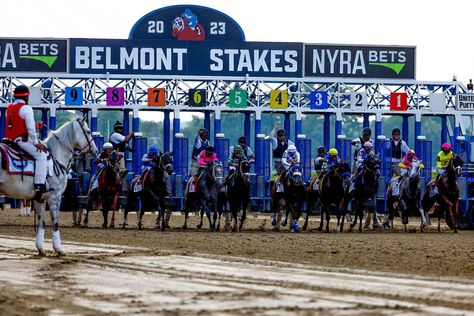 2 Horses Die at Belmont Park Less than 24 Hours After Belmont Stakes 2 Horses, Belmont Park, Belmont Stakes, Park In New York, Horse Trainer, Churchill Downs, Two Horses, Tv Channel, Kentucky Derby