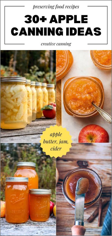 Try these 30+ apple canning ideas and turn your fresh apples into sauces, butters, chutneys, and more. Capture the crisp taste of fall with recipes like apple cider, pie filling, and creative options for your canning pantry. Find more apple recipes, apple desserts, preserving apples, and Canning Fruit Recipes at creativecanning.com. Apple Recipes To Can, Canning Recipes For Apples, Canning Apples Recipes, Apple Cider Pie, Apple Canning Recipes, Fruit Preserves Recipe, Apple Recipes For Canning, Apple Canning, Canning Fruit Recipes