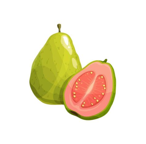 Guava Drawing, Guava Vector, Brazilian Fruit, Fruit Sketch, Guava Fruit, Fruit Vector, Tropical Background, Watercolor Fruit, Watermelon Fruit