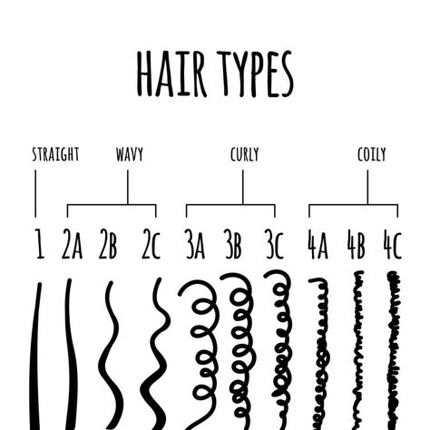 Different Curl Types, How To Know Your Hair Type, Types Of Hair, Hair Theory, Hair Types, Airy Hair, Hair Type Chart, Hair Science, Different Types Of Curls