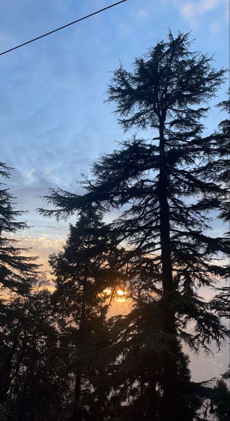 5:30 PM at Landour,Mussoorie,the colours the vibe ahhhh Mussoorie Snap, Mussoorie Photography, Mussoorie Aesthetic, Landour Mussoorie, Ig Background, Baby Boy Announcement Cards, Sunset Quotes Instagram, Travel Pose, Jammu Kashmir