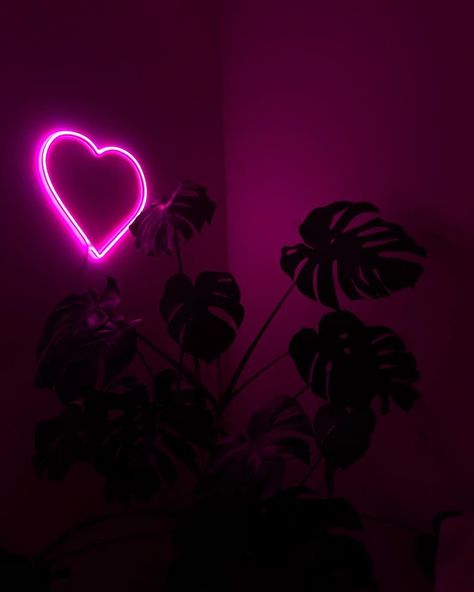 Neon Blue And Black Aesthetic, Blue And Black Aesthetic, Neon Pink Aesthetic, Crush On You, Full Hd 4k, Aesthetic Pics, Black Aesthetic, Aesthetic Wallpaper, Neon Pink