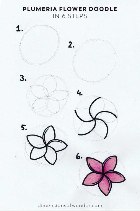 I hate to see anything go to waste, and as an artist, I'm always looking for new and inexpensive materials to use in my creations. Here is a series of bird sculptures that show how recycled art can come to life!  ... How To Draw A Frangipani, How To Draw A Beautiful Flower, Lotus Flower Drawing Step By Step, How To Draw Frangipani Flower, Cute Drawings Simple Flowers, How To Draw A Easy Flower, Doodle Ideas When Bored, How To Draw A Plumeria, How To Draw Plumeria Flowers