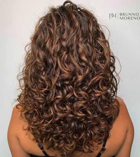 Long Layered Cut for Curly Hair Highlights Curly Hair, Curly Hair Photos, Colored Curly Hair, Haircuts For Curly Hair, Curly Hair Inspiration, Curly Girl Hairstyles, Long Layered Hair, Curly Hair Cuts, Long Curly Hair