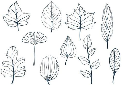 Free Leaves Vectors Simple Leaf Drawing, Different Types Of Leaves, Types Of Leaves, Leaf Vector, Simple Leaf, Image Stickers, Drawing Vector, Leaf Images, Leaf Drawing