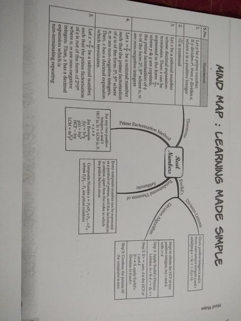 APS, Golconda | Priyanka Gupta:   CLASS 10 / REAL NUMBERS / mind map Real Numbers Class 10, Division Algorithm, Physics Laws, Maths Area, Prime Numbers, Rational Numbers, Easy Doodle, Concept Map, Real Numbers