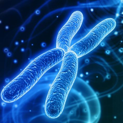 Genetics is a field of biology that studies genes, heredity, and genetic variation. #genetics #science #genes Sodium Potassium Pump, Genetic Drift, Cell Transport, Molecular Genetics, Genetic Variation, Ap Biology, Genetic Engineering, Structure And Function, Plant Cell