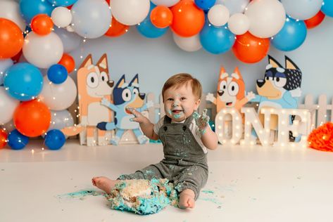 Bluey 1st Birthday Photoshoot, Bluey Photoshoot, 1st Birthday Photoshoot, Smash Cake, Birthday Photoshoot, Cake Smash, Bingo, 1st Birthday, Birthday Party