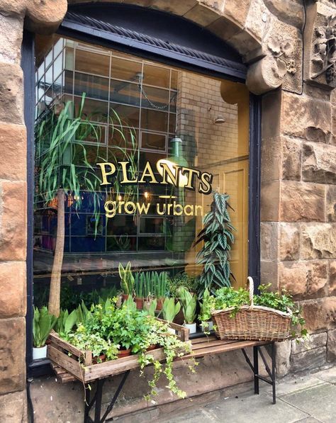 Plant Shop Window Display, Cafe And Plant Shop, Plants Shop Design, Plant Store Interior, Plant Shop Cafe, Plant Shop Interior Design, Plant Shop Name Ideas, Tiny Shop Ideas, Plant Shop Interior