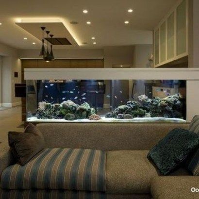 Tank Aquariums, Fish Tank Wall, Large Fish Tanks, Wall Aquarium, Amazing Aquariums, Fish Tank Design, Home Aquarium, Aquarium Design, Tanked Aquariums