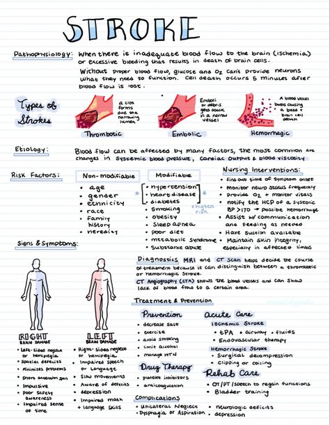 Emt Study, Nurse Notes, Health Notes, Nursing School Essential, Nursing School Motivation, Medicine Notes, Basic Anatomy And Physiology, Nurse Study Notes, Nursing Student Tips