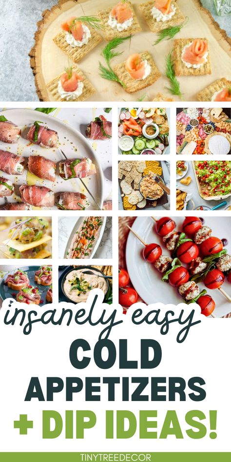 46 Easy Cold Appetizer & Dip Recipes Appetizer Dip Recipes, Easy Finger Food Ideas, Cold Appetizer Recipes, Easy Cold Appetizers, Thanksgiving Appetizers Finger Foods, Hors Devours Appetizers, Smoked Salmon Platter, Cold Appetizer, Cold Dip