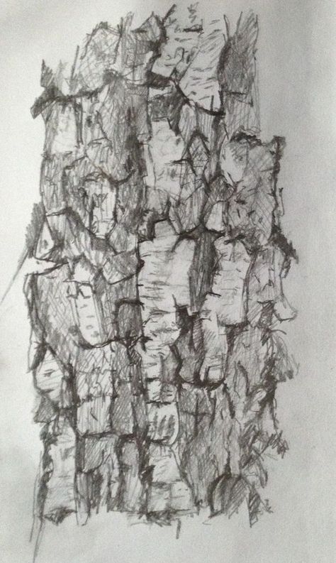 Bark Art Projects, Tree Bark Art, Landscaping Gravel, Hamptons Garden, Country Garden Landscaping, Cool Tricks, Tree Bark Texture, Tree Drawings Pencil, Drawing Realistic