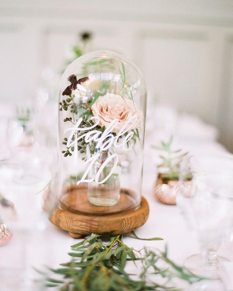 So in love with this details captured in film at the wedding of the gorgeous @chiutips a year ago. 📸@katwillson you are the best!! 🌹by @greenstems / Planner : @evoke.events Terrarium Wedding Centerpiece, Table Numbering, Cute Table Decor, Table Number Decorations, Traditional Restaurant, Cloche Decor, Safari Wedding, Cute Table, Planning System