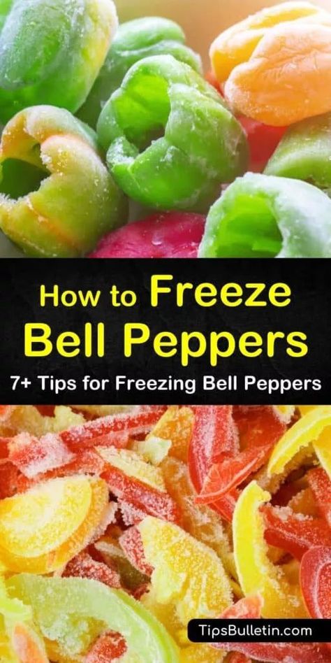 Freeze Bell Peppers, Freezing Green Peppers, Canning Bell Peppers, Red Bell Pepper Recipes, Freezing Food Guide, Freezing Bell Peppers, Freezing Peppers, Freezing Vegetables, Bell Pepper Recipes