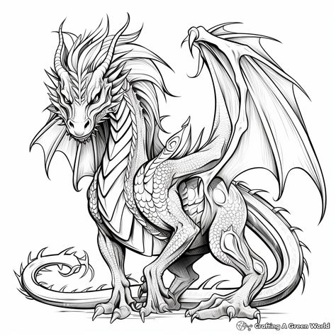 Dragon With Wings Drawing, Fire Dragon Drawing, Water Dragon Drawing, How To Draw A Dragon, Dragon Drawing Reference, Dragon On Castle, Dragon Coloring Pages For Adults, Realistic Dragon Drawing, December Tattoo