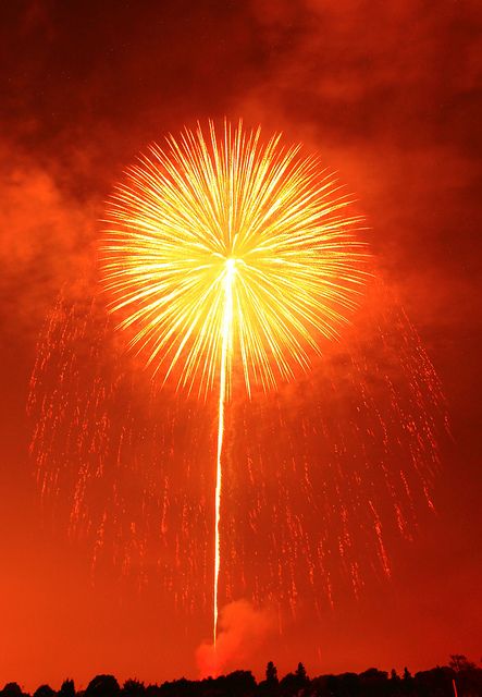 Firework Display by Spice ♥ Darling, via Flickr  Looks like a giant Dandelion : ) Light Branding, Photowall Ideas, Red Lights, Autumn Illustration, Block Colour, Jaune Orange, Rainbow Aesthetic, Orange You Glad, Fireworks Display