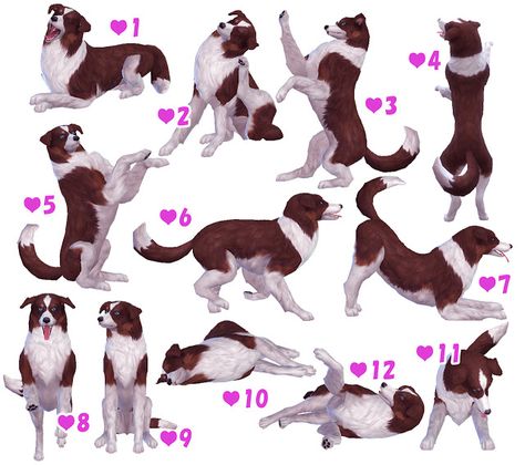 Sims 4 CC's - The Best: Dog Pose (Large,Small,Puppy) by A Lucky Day Sims 4 Cas Poses, Cas Poses, Sims Pets, Large Dog Clothes, Small Puppy, Dog Animation, Wild Dog, Dog Poses, Sims 4 Toddler