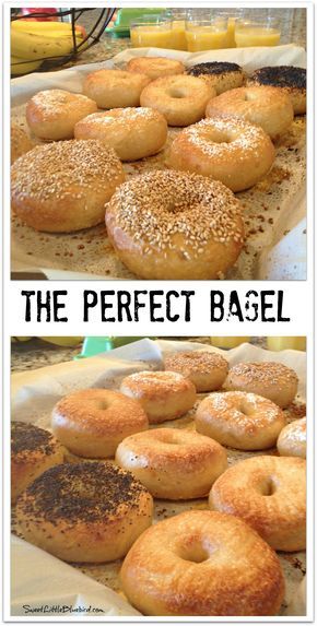 Same Day Bagel Recipe, Bakery Ideas Recipes, Easy Bagel Recipe, Breakfast Baked Goods, Making Bagels, Make Bagels, Baked Goods Recipes, Bagel Recipes, Bagels Recipe