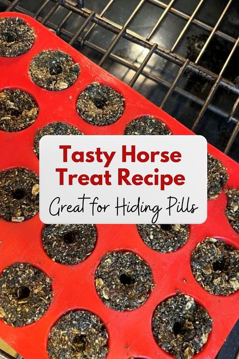 Tasty Horse Treat Recipe - Great for Hiding Pills In - Our Country Life Diy Horse Pill Pockets, Horse Cookies Recipes, Homemade Horse Treats, Pill Pockets, Horse Cookies, Diy Horse, Miniature Horses, Horse Things, Horse Treats