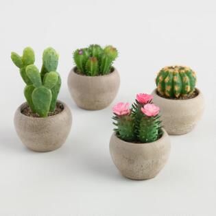 Fake Cactus, Kaktus Dan Sukulen, Artificial Cactus, Plant Care Guide, Faux Cactus, Pots Set, Making Plant Pots, Indoor Cactus, Plant Care Tips